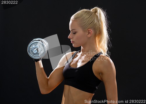 Image of young sporty woman with heavy steel dumbbell