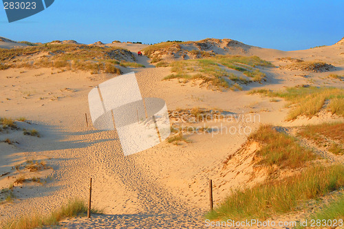 Image of Large dune