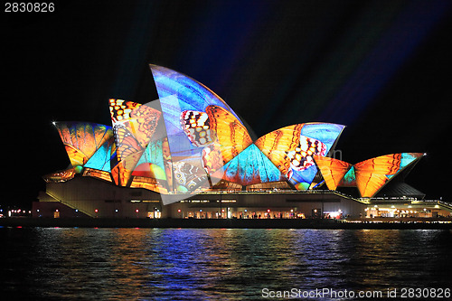 Image of Vivid Sydney, Sydney Opera House with colourful butterfly imager