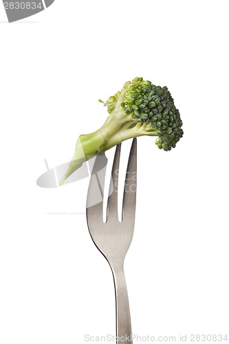 Image of Broccoli held by a fork