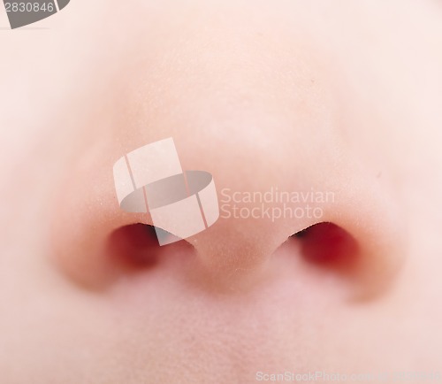 Image of baby nose