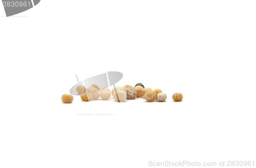 Image of Grains of mustard seed on white