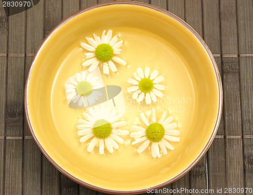Image of Camomile blooms swim in the water of a  ceramic bowl