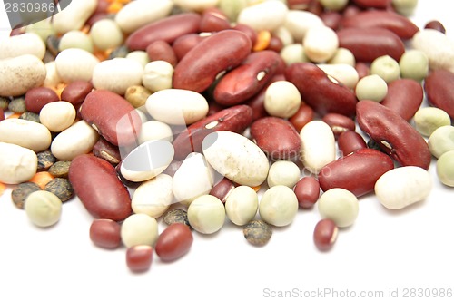 Image of Detailed but simple image of legumes on white