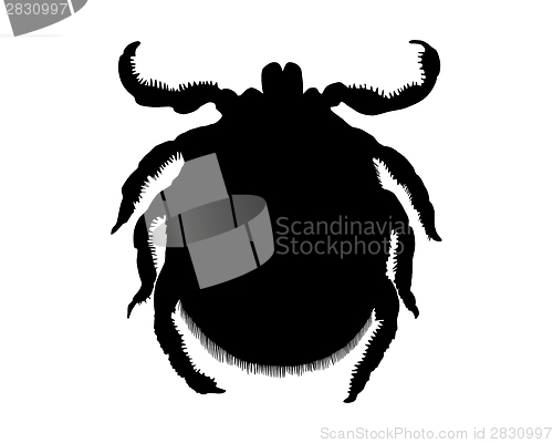 Image of The black silhouette of a tick on white