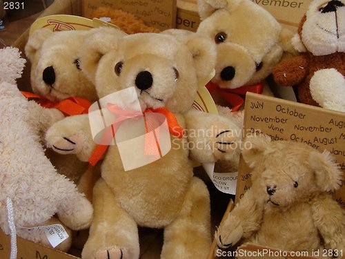 Image of teddy bears