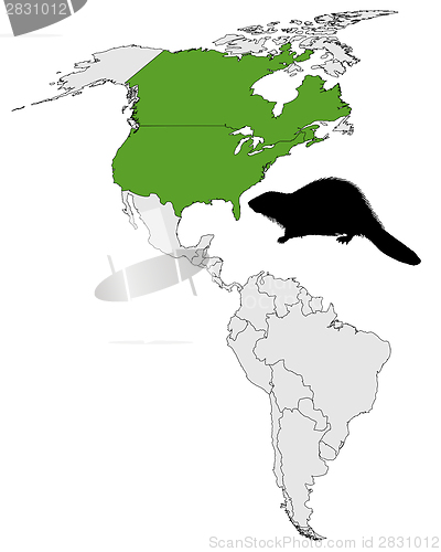 Image of Distribution of canadian beaver 