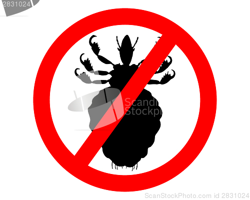 Image of Prohibition sign for lice on white background
