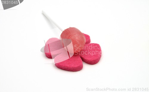 Image of Lolly on felt