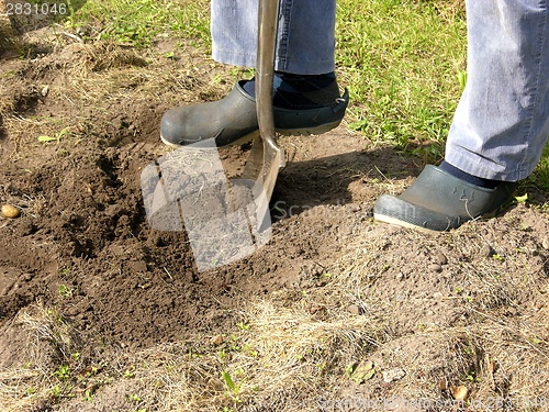 Image of Cutout man with spade doing work in the garden