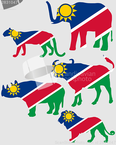 Image of Big Five Namibia 