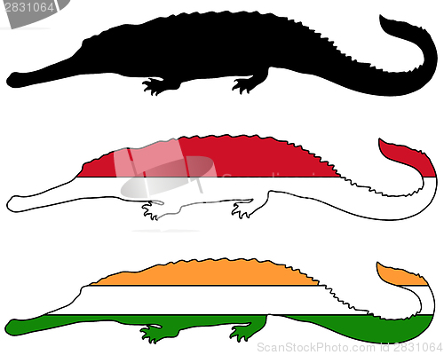 Image of Gharial flags