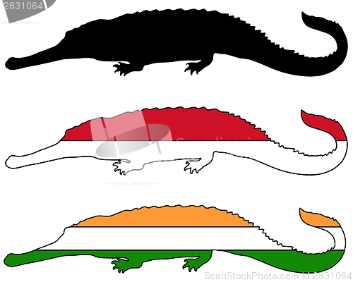 Image of Gharial flags