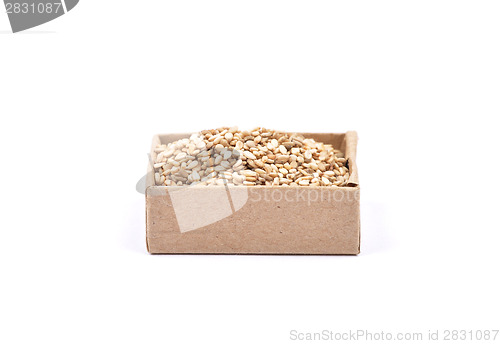 Image of Sesame on white