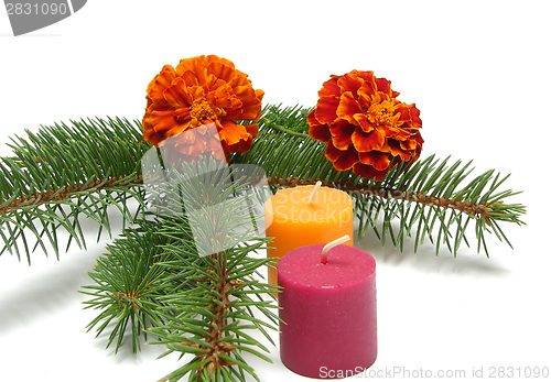 Image of A single twig of fir with candles and marygold