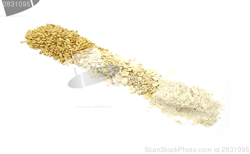 Image of Oat as grain, oatflakes and oatmeal