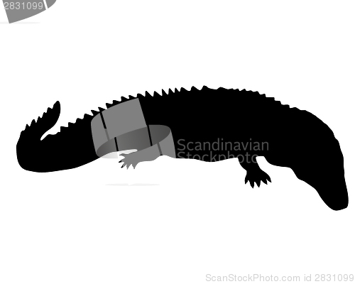 Image of Caiman Silhouette