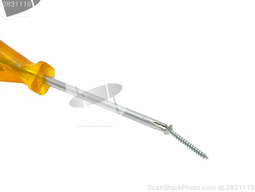 Image of Crosstip screwdriver with screw