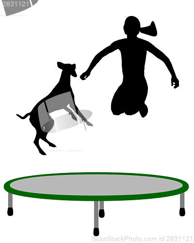 Image of Woman and dog trampoline