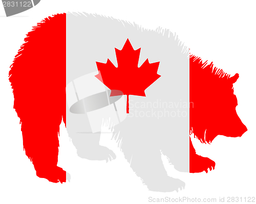 Image of Canadian bear