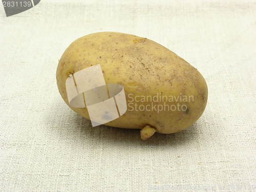 Image of Singel unpeeled potato on a beige background