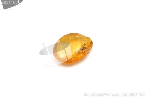 Image of Amber  on white