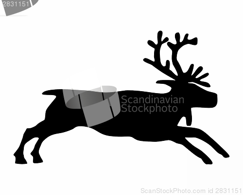 Image of reindeer