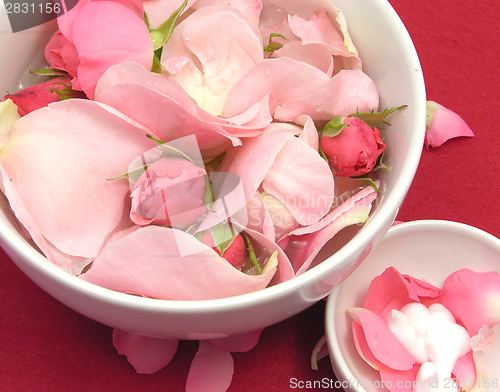 Image of Pink roses and cream in  white bowls of chinaware on red background