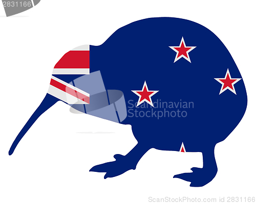 Image of New Zealand kiwi