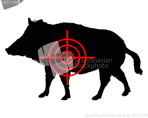 Image of Boar crosslines