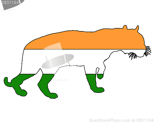 Image of India tiger