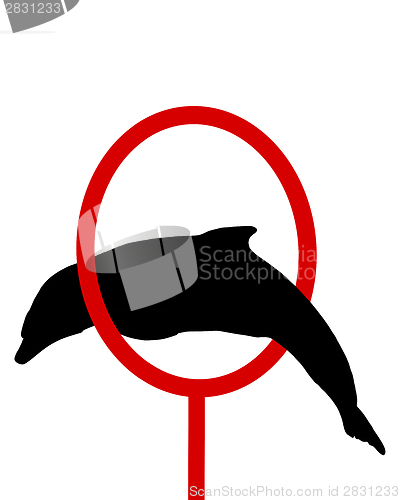 Image of Dolphin silhouette