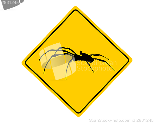 Image of Spider warning sign