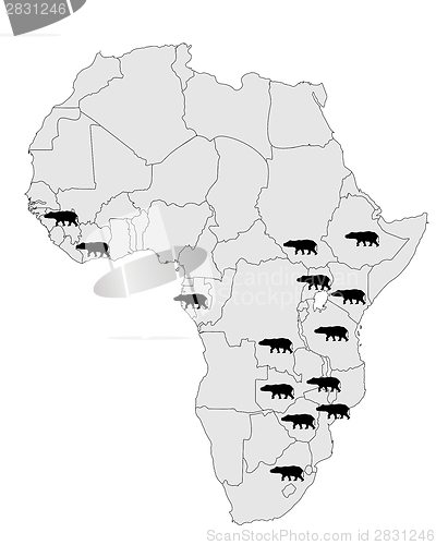 Image of Hippo Africa range