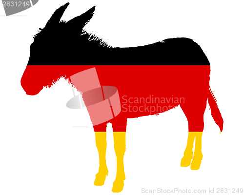 Image of German donkey