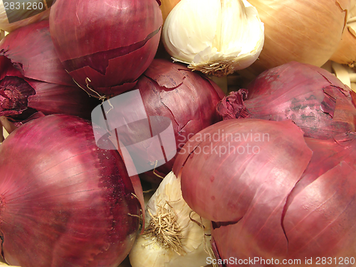 Image of Red Onions and white garlics in a close-up view