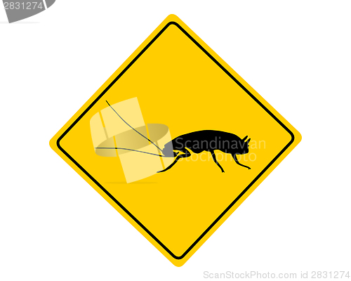 Image of Cockroach warning sign