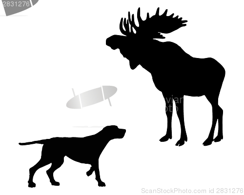 Image of Two animals, setter and moose meet face to face