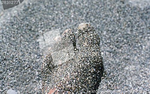 Image of Foot with sand