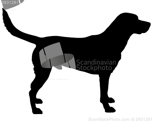 Image of Labrador silhouette