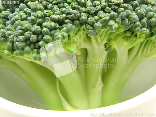 Image of broccoli in a little bowl of chinaware