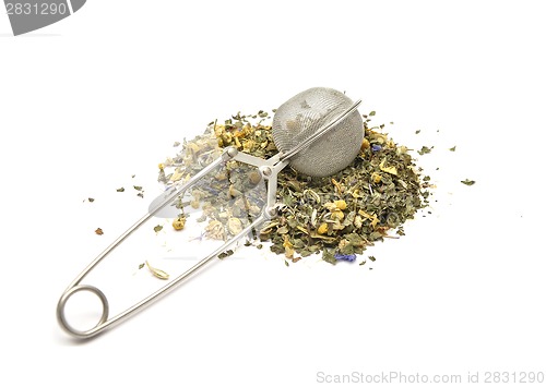 Image of Detailed but simple image of mesh tea ball infuser