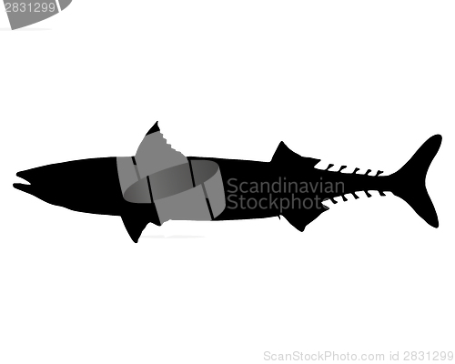 Image of Atlantic Mackerel silhouette