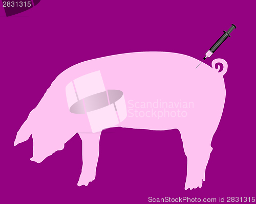 Image of Swine gets an inoculation because of swine flu