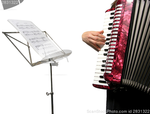 Image of Cutout with a woman playing accordion on white