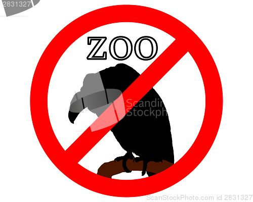 Image of Vulture in zoo prohibited