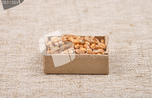 Image of Wheat on linen