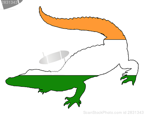 Image of Crocodile India