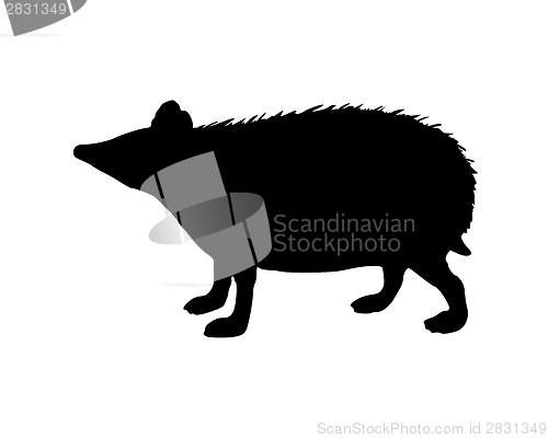 Image of The black silhouette of a hedgehog on white