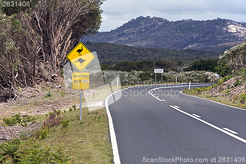 Image of Australian, Wildlife Road Sign Road Trip